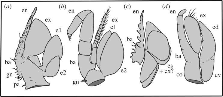 Figure 3.