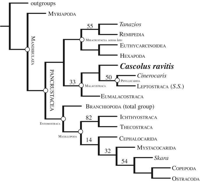 Figure 2.