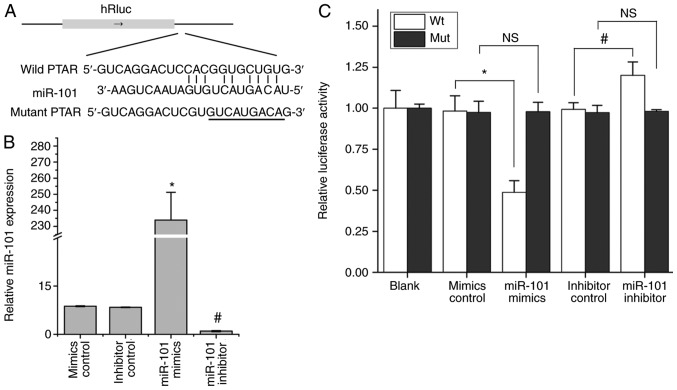 Figure 5.