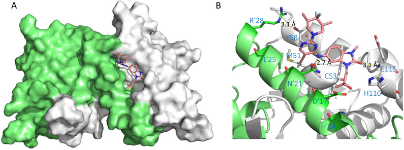 Figure 12.