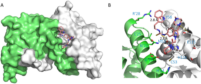 Figure 9.