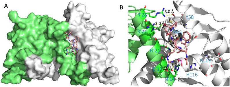 Figure 4.