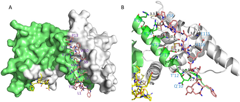 Figure 3.