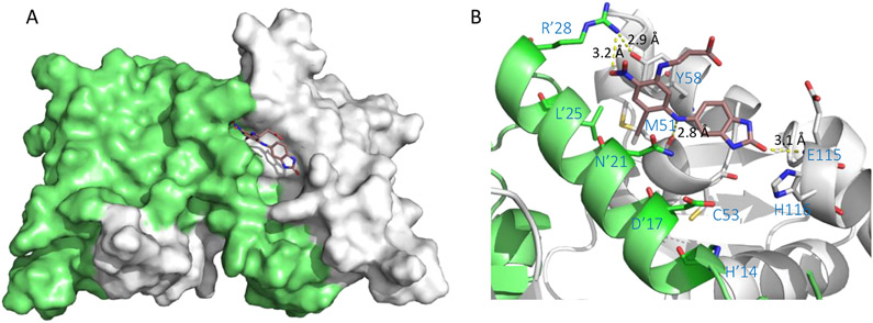 Figure 6.