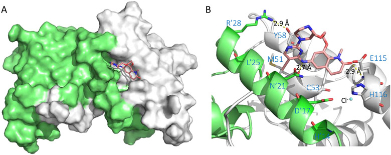 Figure 11.