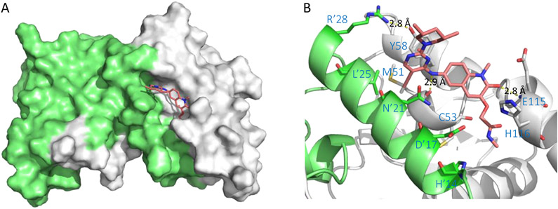 Figure 13.