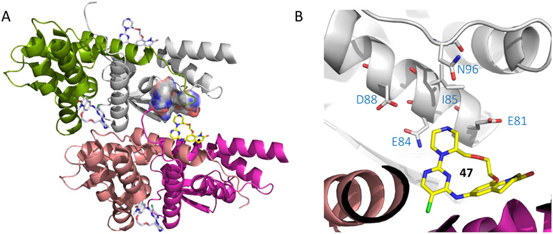 Figure 14.