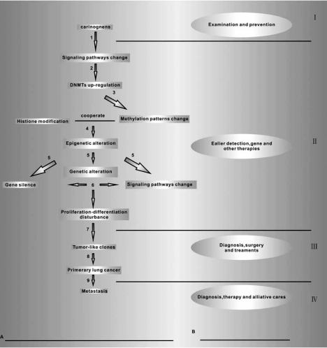 Fig. (5). Profile of lung tumorigenesis and medical prevention and therapies.