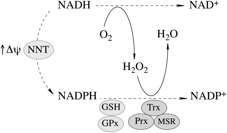 FIG. 3.