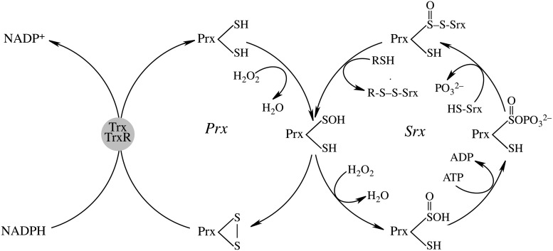 FIG. 6.