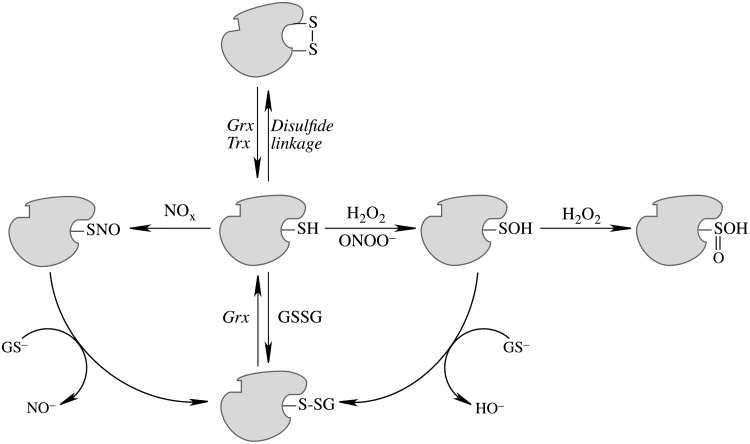 FIG. 5.