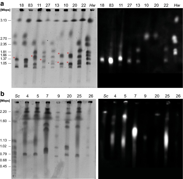 Fig. 2