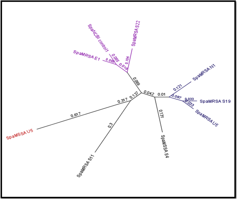 Fig. 2