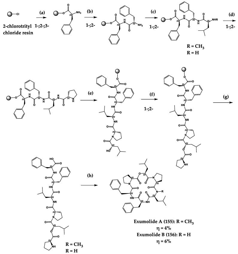 Scheme 4