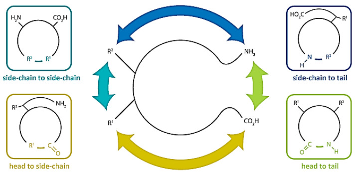 Figure 8