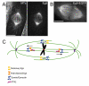 Figure1