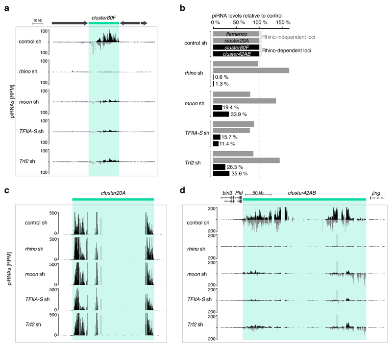 Extended Data Figure 6