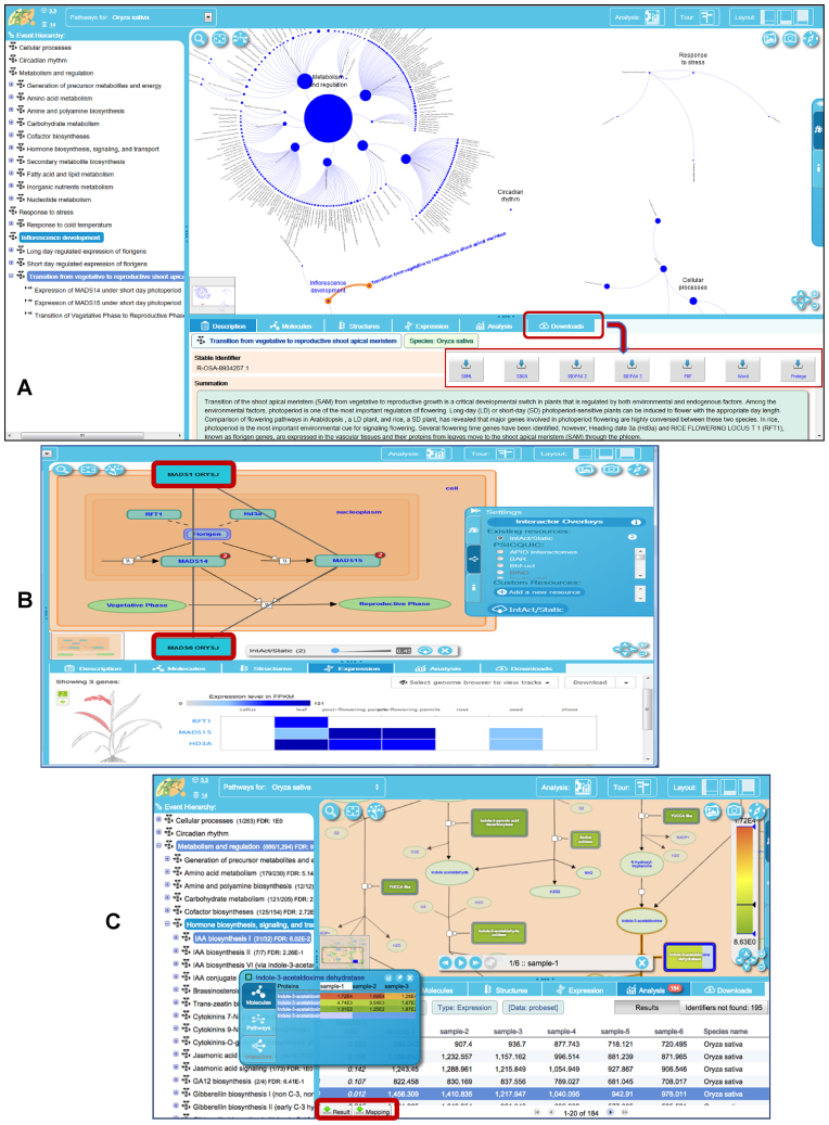 Figure 2.