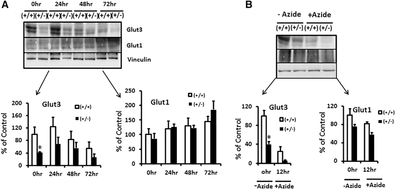 Figure 10.