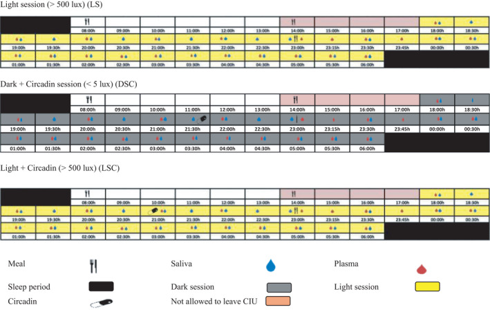 FIGURE 1