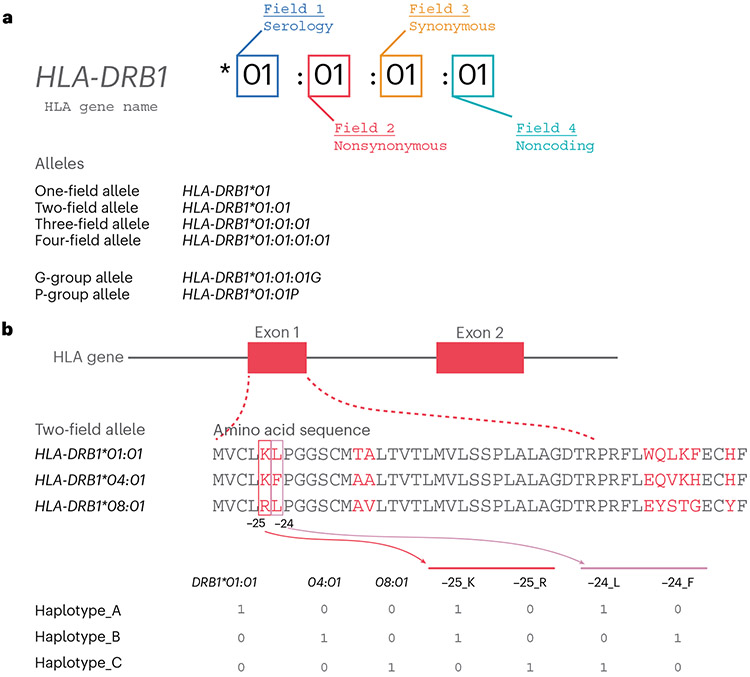 Fig.3 ∣