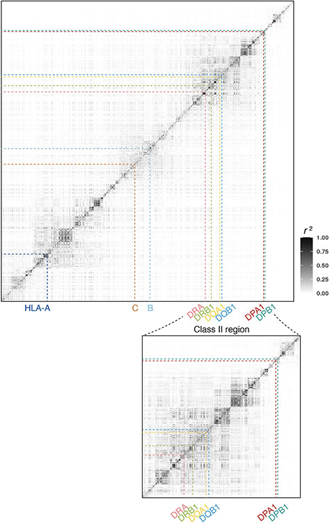 Extended Data Fig.1 ∣