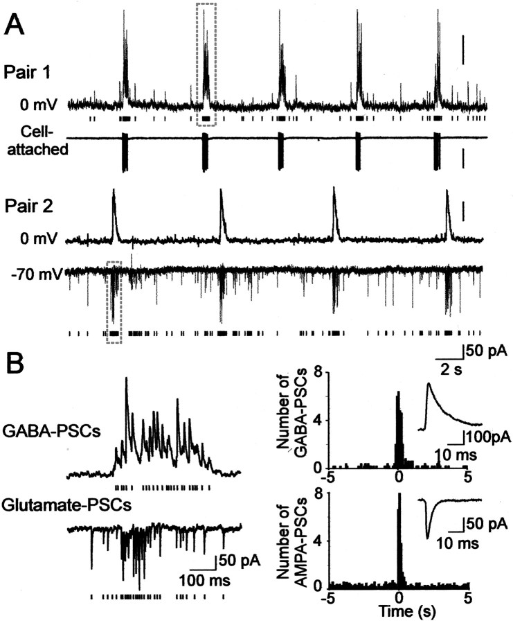 Fig. 5.