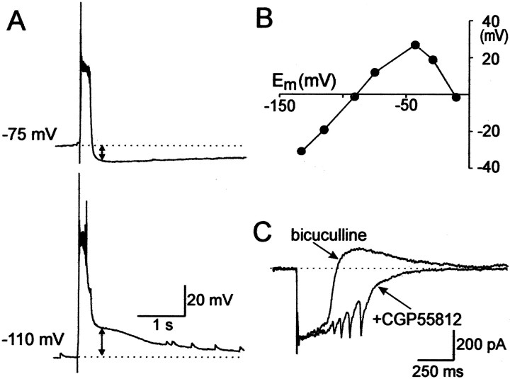 Fig. 8.