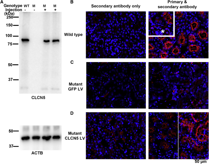 Figure 4