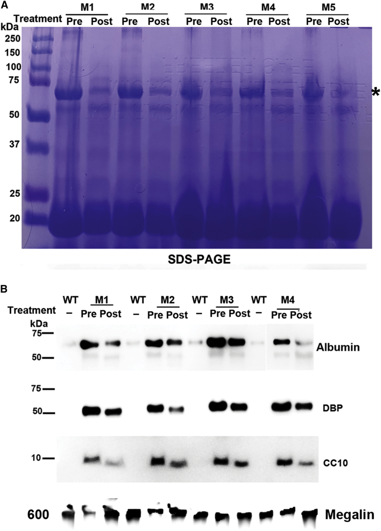 Figure 6