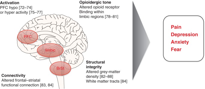 Fig 1