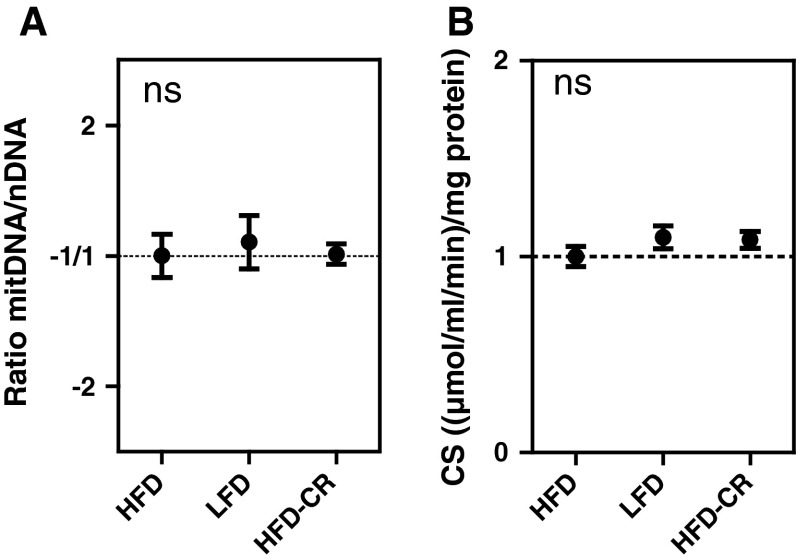 Fig. 6