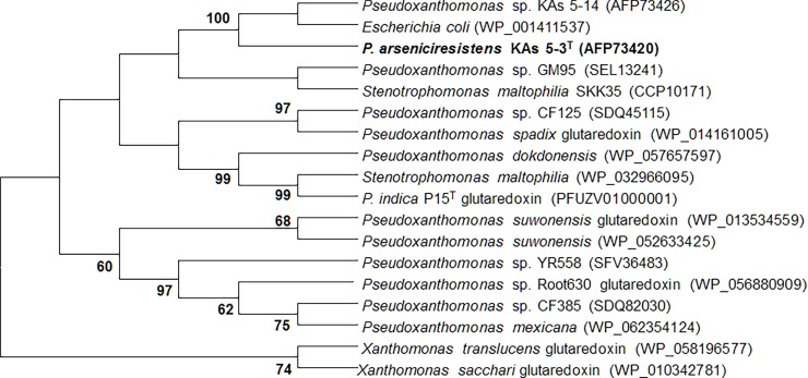 Fig 3