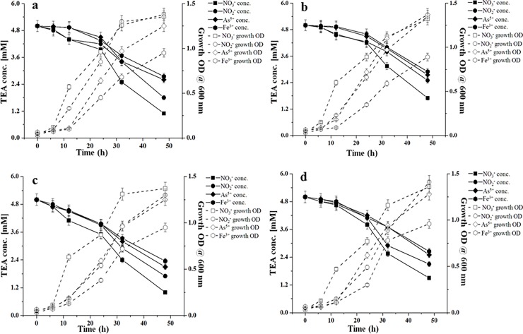 Fig 2