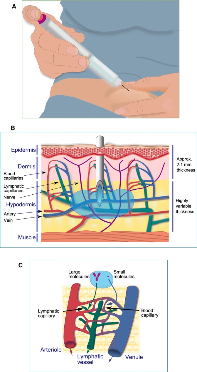 Fig. 1