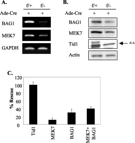 FIG. 6.