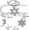FIG. 11.