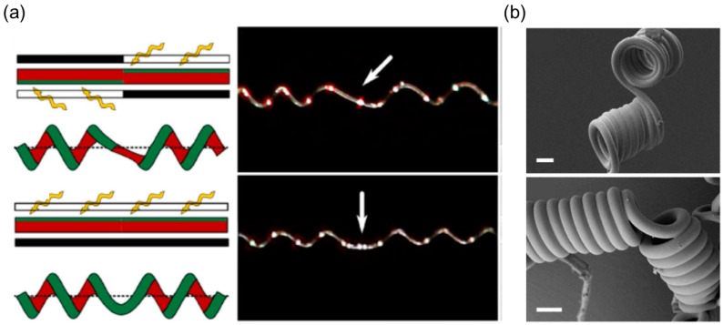 Figure 19