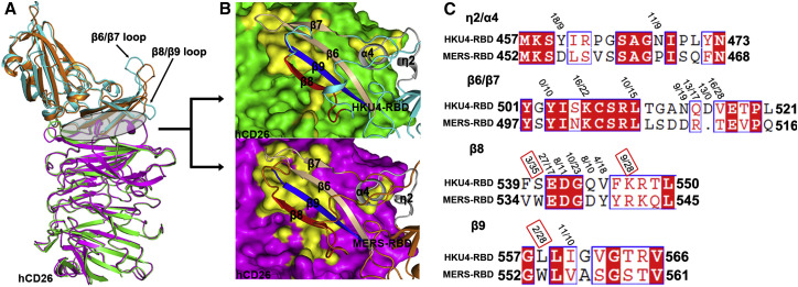 Figure 6