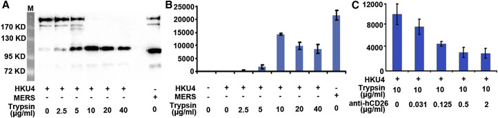 Figure 4