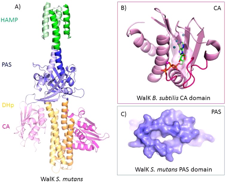 Figure 2