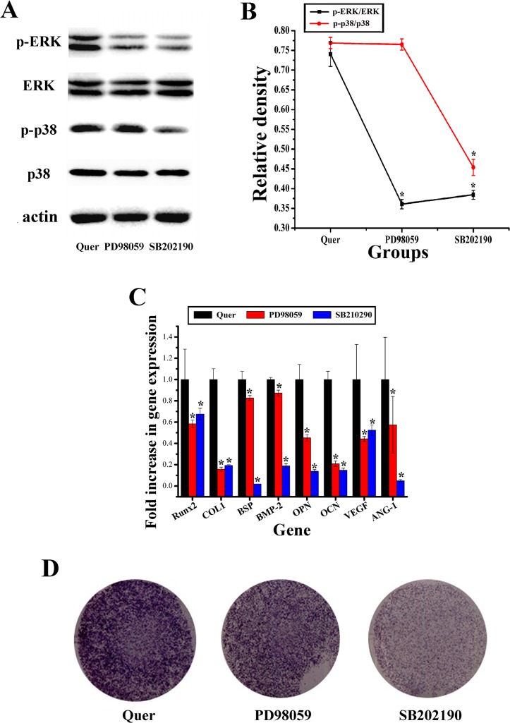 Fig 7