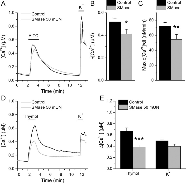 Figure 3—figure supplement 1.