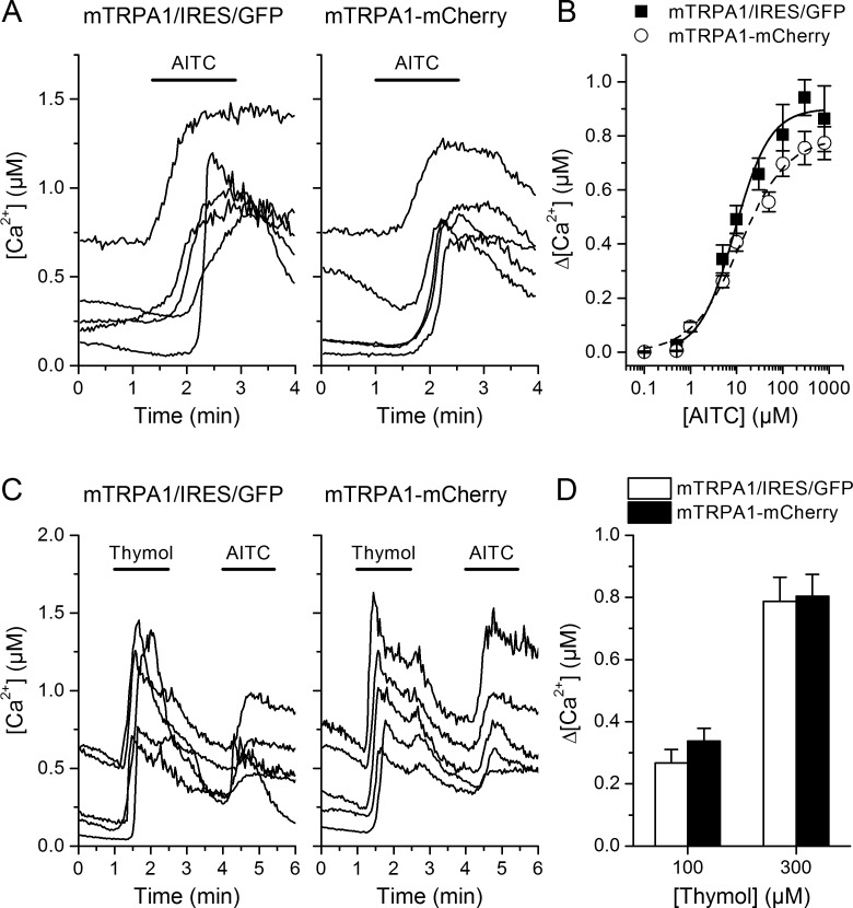 Figure 1—figure supplement 1.