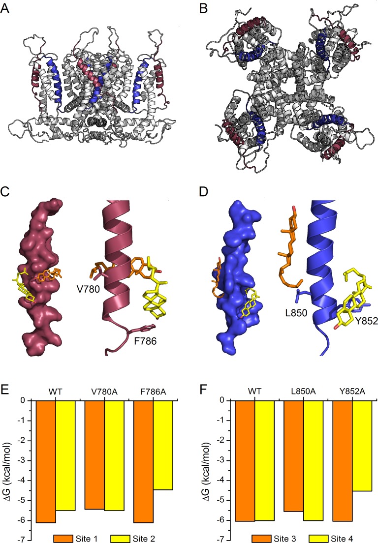 Figure 6.