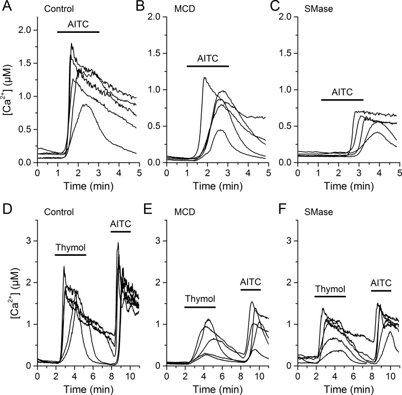 Figure 3—figure supplement 2.