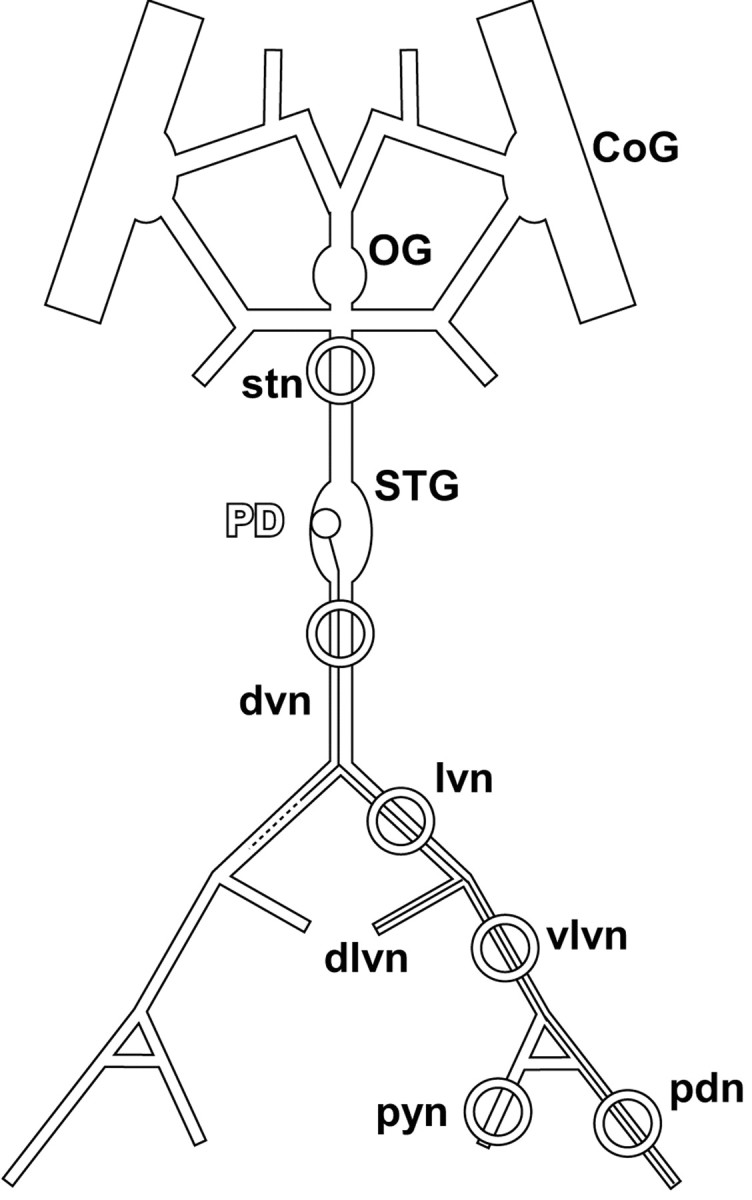 Figure 1.