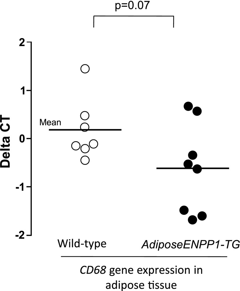 Fig. 12.