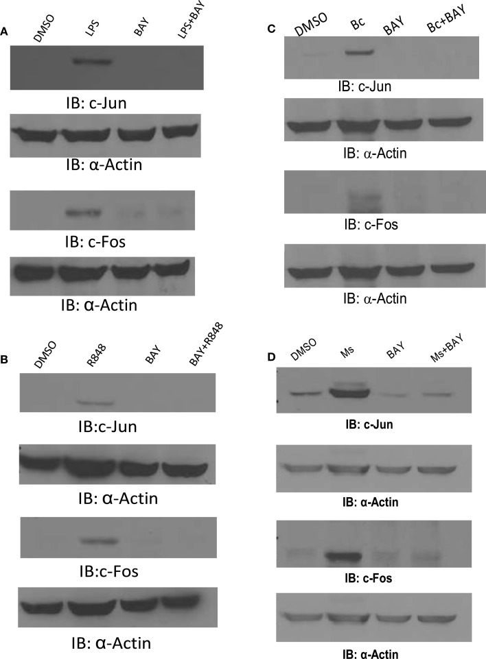 Figure 9