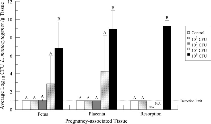 FIG 3